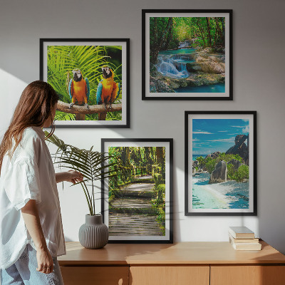 Set of 4 wall art pieces Tropical forest parrot waterfall