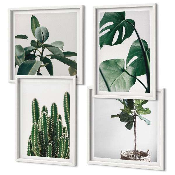 Set of 4 wall art pieces Tropical plants aesthetics