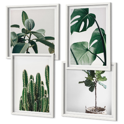 Set of 4 wall art pieces Tropical plants aesthetics