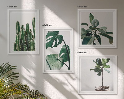 Set of 4 wall art pieces Tropical plants aesthetics