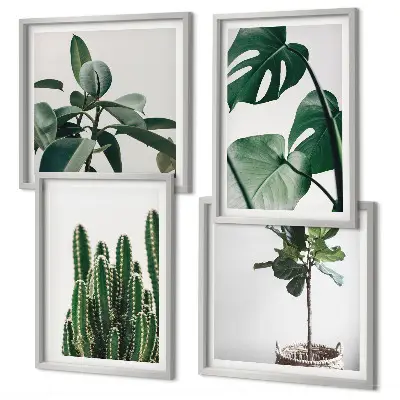 Tropical plant aesthetic wall art set set of 4 pieces