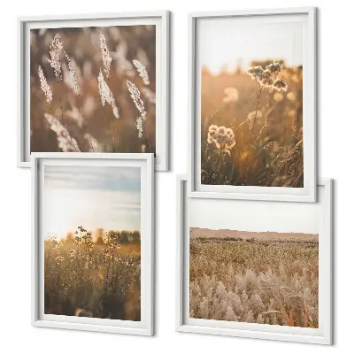 Summer meadows flowers sunset wall art set of 4 pieces