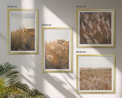 Set of 4 wall art pieces Summer meadows flowers sunset