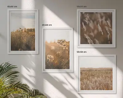 Summer meadows flowers sunset wall art set of 4 pieces