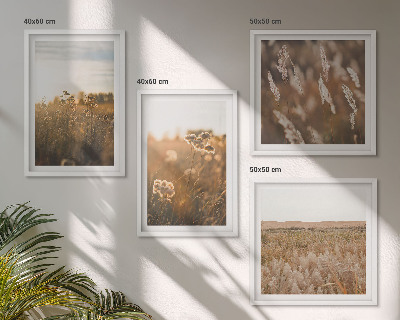 Set of 4 wall art pieces Summer meadows flowers sunset