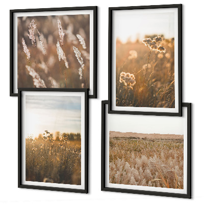 Set of 4 wall art pieces Summer meadows flowers sunset