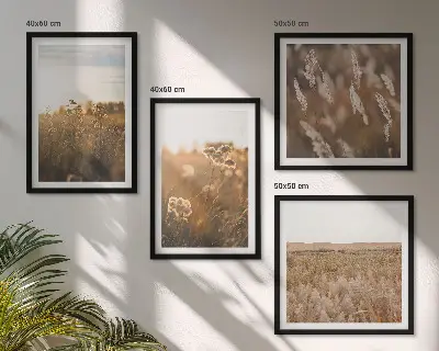 Summer meadows flowers sunset wall art set of 4 pieces