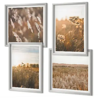 Summer meadows flowers sunset wall art set of 4 pieces