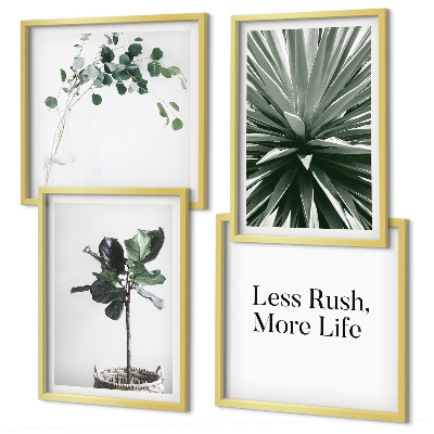 Multi-piece wall decor set Green plants minimalism