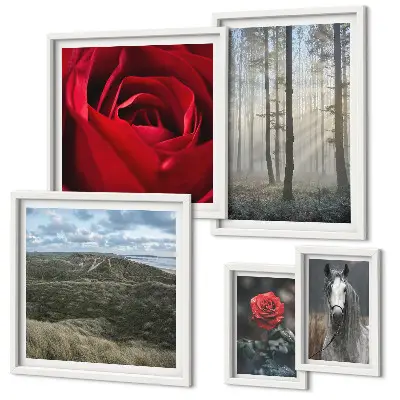 Framed photo set nature flowers in different styles