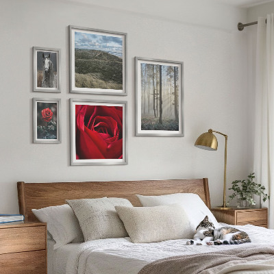 Framed photo set Nature flowers different styles