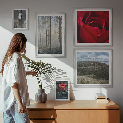 Framed photo set Nature flowers different styles