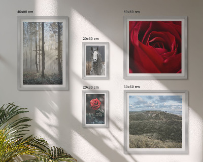 Framed photo set Nature flowers different styles