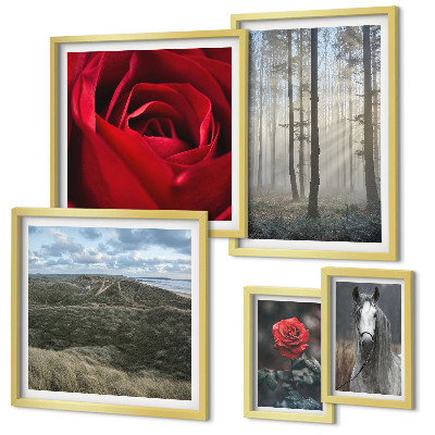 Framed photo set Nature flowers different styles