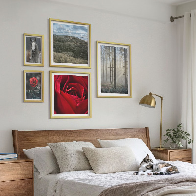 Framed photo set Nature flowers different styles