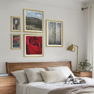 Framed photo set nature flowers in different styles
