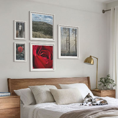 Framed photo set Nature flowers different styles