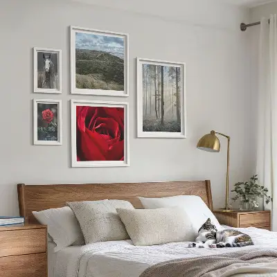 Framed photo set nature flowers in different styles