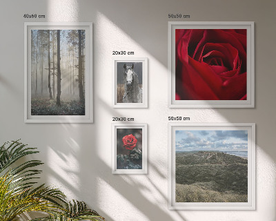 Framed photo set Nature flowers different styles