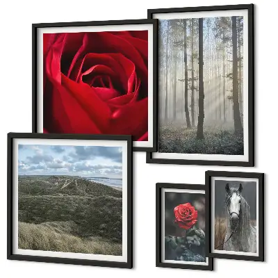 Framed photo set nature flowers in different styles