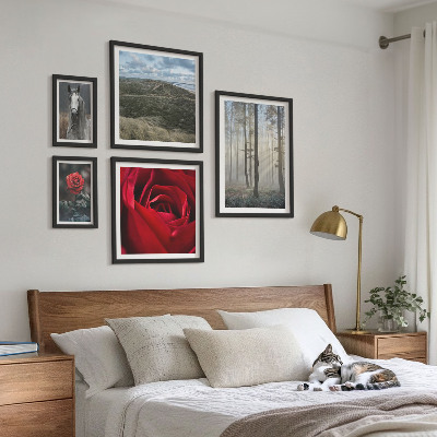 Framed photo set Nature flowers different styles