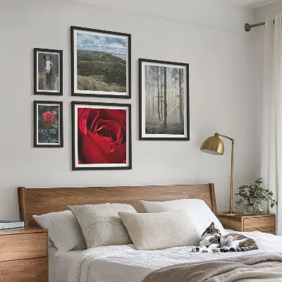 Framed photo set nature flowers in different styles