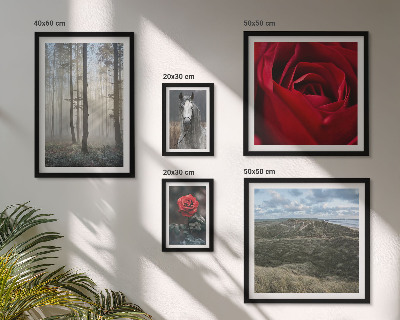 Framed photo set Nature flowers different styles