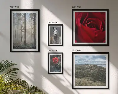 Framed photo set nature flowers in different styles