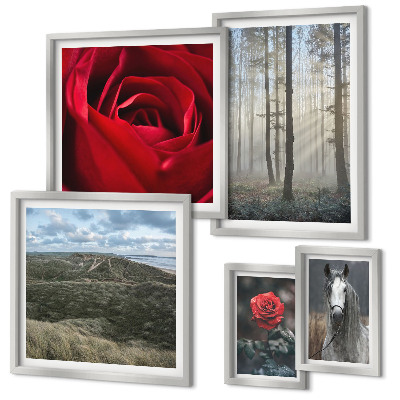 Framed photo set Nature flowers different styles