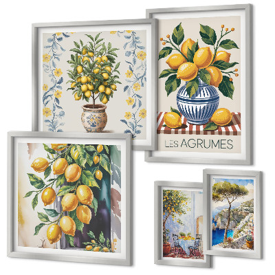 Gallery wall Mediterranean-style citrus