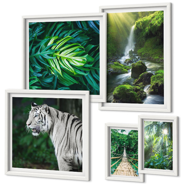Framed photo set Tropical nature landscapes