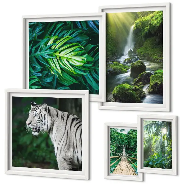 Framed photo set with tropical nature landscapes