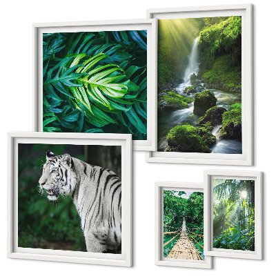 Framed photo set Tropical nature landscapes