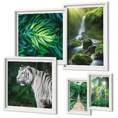 Framed photo set with tropical nature landscapes