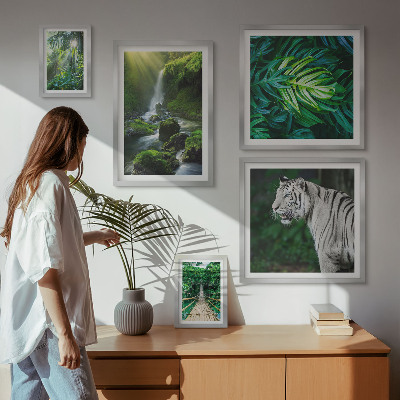Framed photo set Tropical nature landscapes