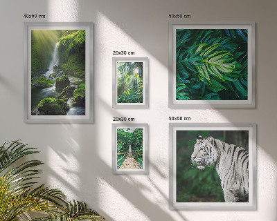 Framed photo set Tropical nature landscapes