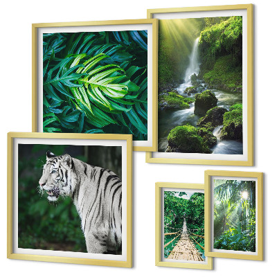 Framed photo set Tropical nature landscapes