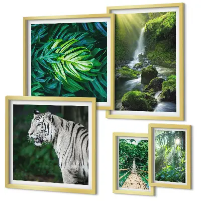Framed photo set with tropical nature landscapes