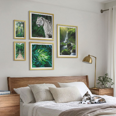 Framed photo set Tropical nature landscapes