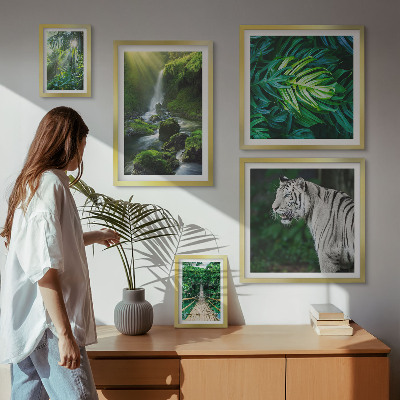Framed photo set Tropical nature landscapes