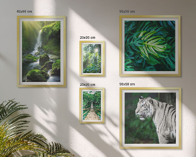 Framed photo set Tropical nature landscapes