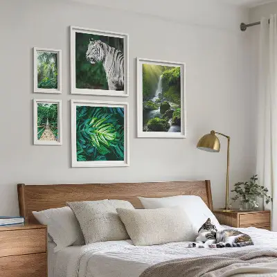 Framed photo set with tropical nature landscapes