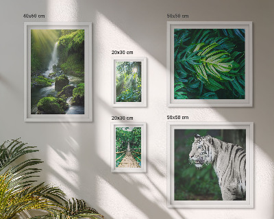 Framed photo set Tropical nature landscapes