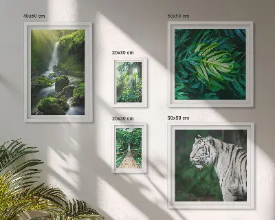 Framed photo set with tropical nature landscapes
