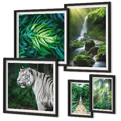 Framed photo set Tropical nature landscapes