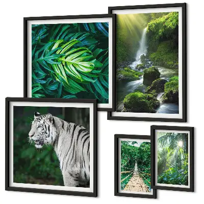 Framed photo set with tropical nature landscapes
