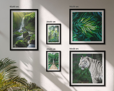 Framed photo set Tropical nature landscapes
