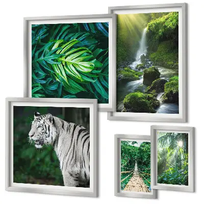 Framed photo set with tropical nature landscapes
