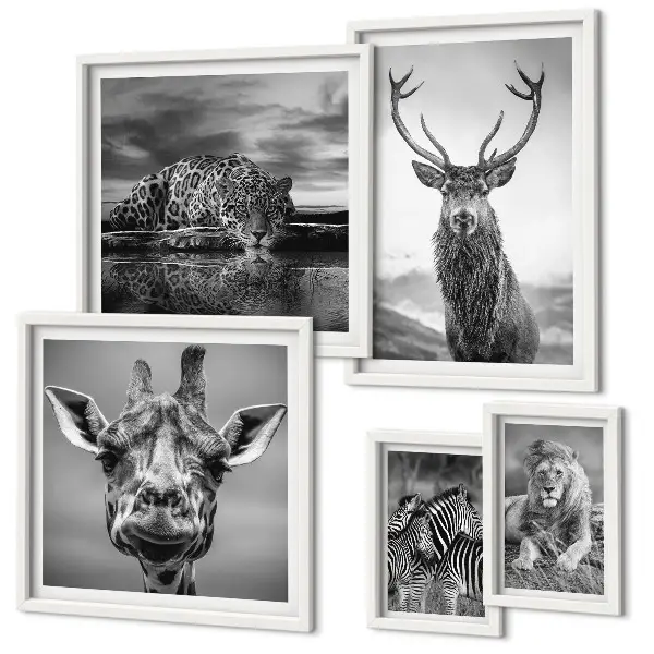 Framed photo set featuring black and white nature animals
