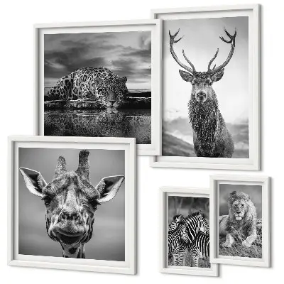 Framed photo set featuring black and white nature animals